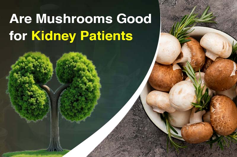 Are Mushrooms Good for Kidney Patients